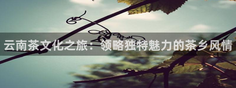 金年会登录入口