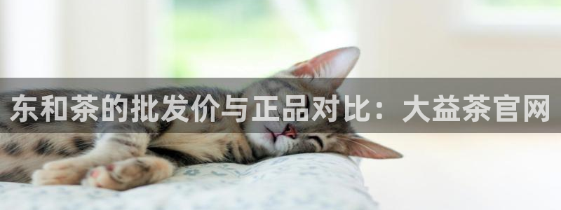 金年会手机网页登录