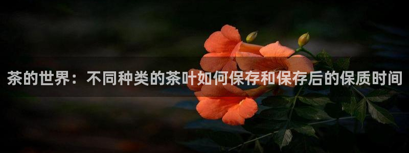 金年会体育在线入口