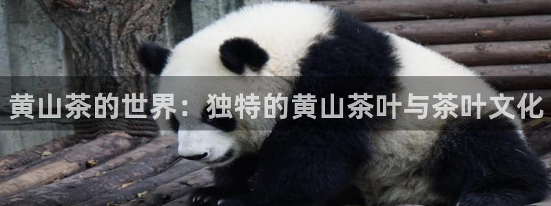 金年会体育下载