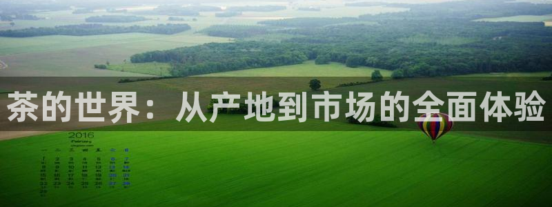 金年会体育平台在线登录