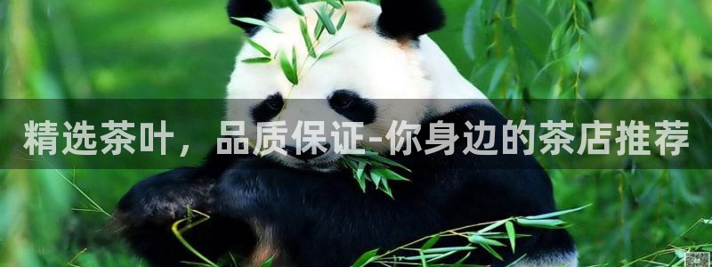 金年会体育在线登录