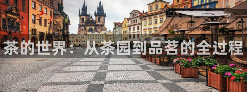 金年会体育官网