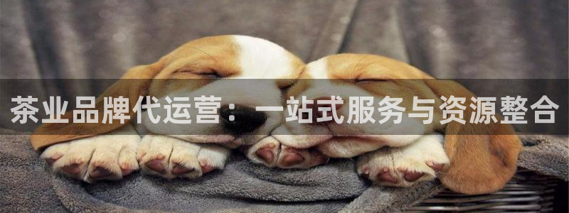 世界杯金年会app下载