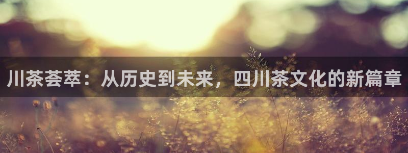 金年会官方网站登录