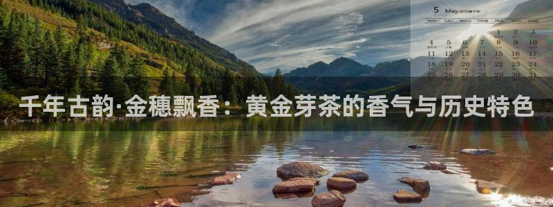 金年会体育官方网站