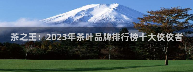 金年会娱乐下载