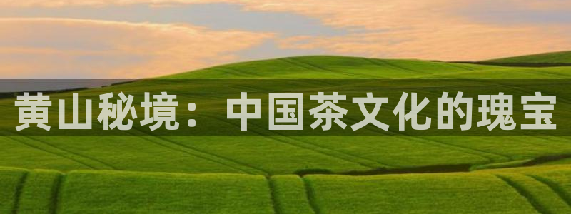 金年会体育官方网站