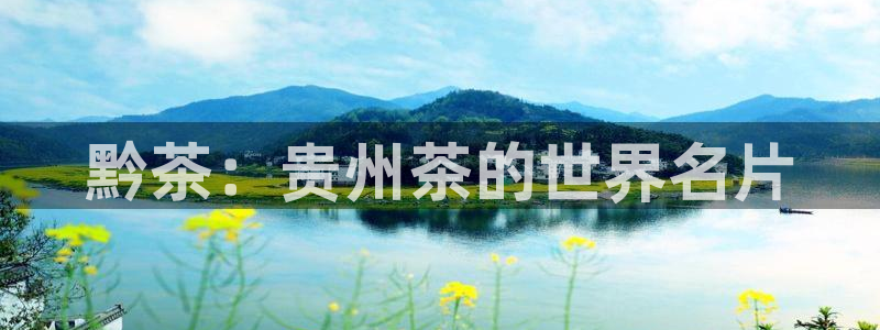 金年会彩票下载app