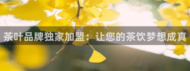 金年会网官网新版