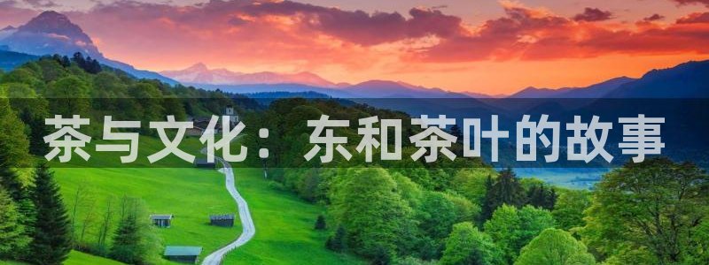 金年会软件在线下载