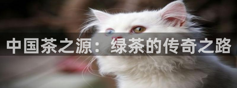 金年会平台游戏