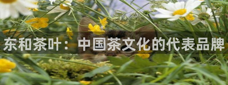 金年会最新登录网站