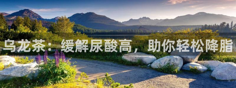 金年会官方网站登录