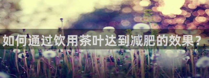 金年会是真的吗