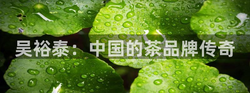 金年会平台出款