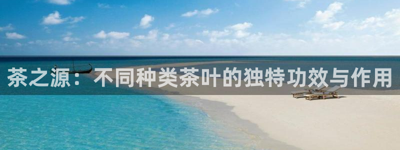 金年会游戏官网