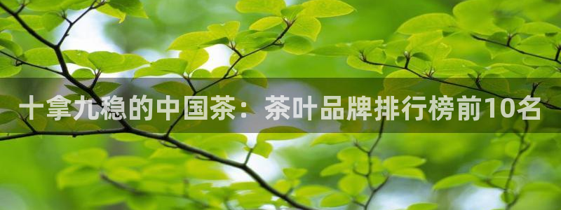 金年会官方体育登录入口