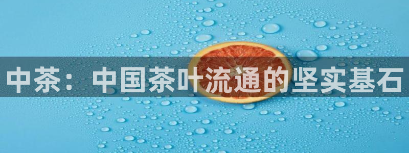 金年会官网入口