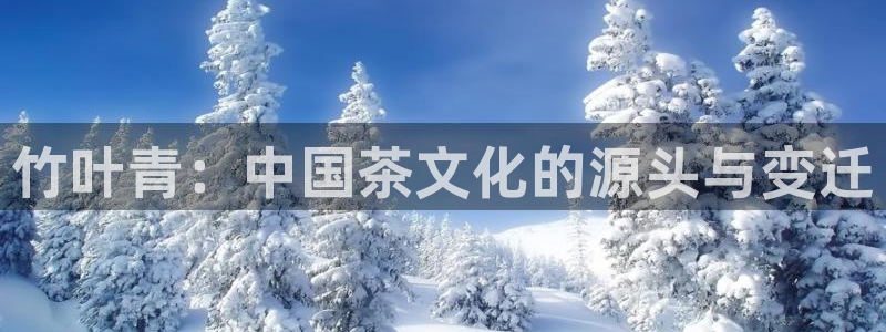 金年会体育在线入口