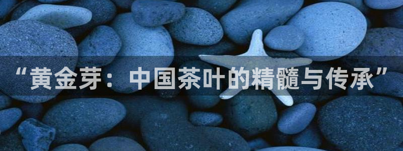 金年会官方客服