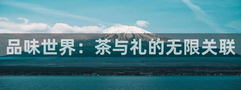 金年会体育下载app