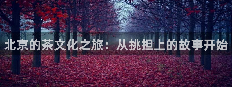 金年会官网登入