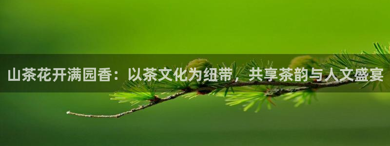 金年会金字招牌