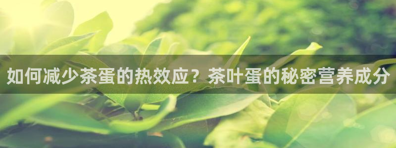 金年会网官网新版