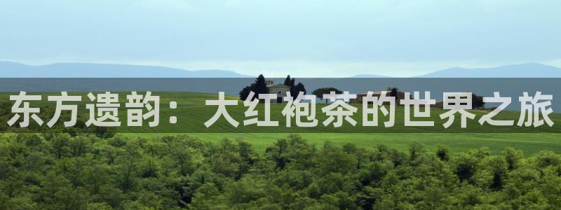 金年会金字招牌在线入口