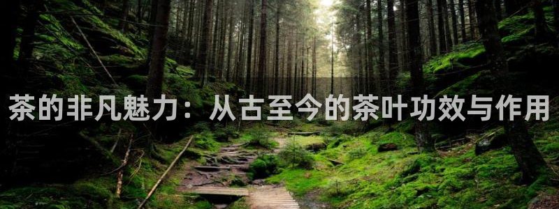 金年会彩票下载app