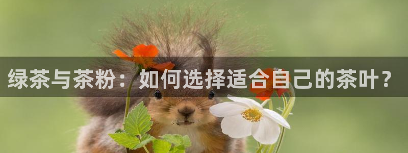 金年会中国金年会登录