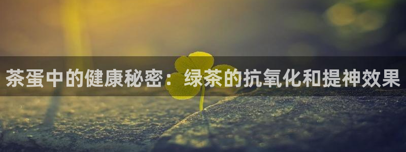 金年会电子游戏