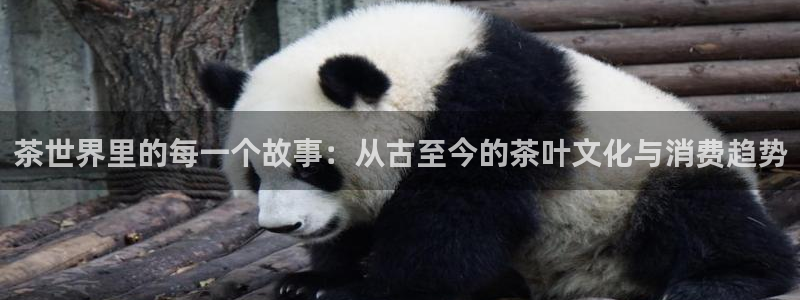 金年会软件在线下载