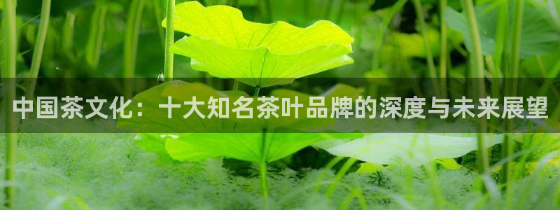 金年会是真的吗