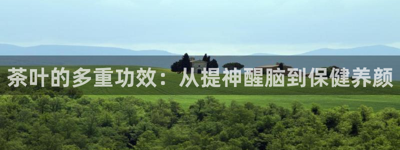 金年会娱乐下载