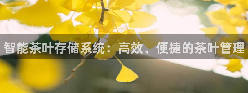 金年会6766澳门联合