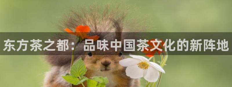 金年会手机官网