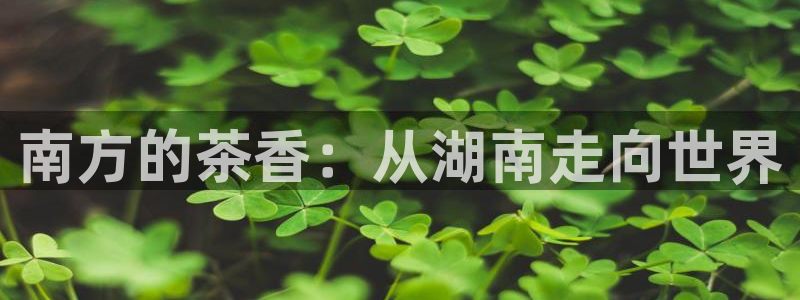 金年会体育在线登录