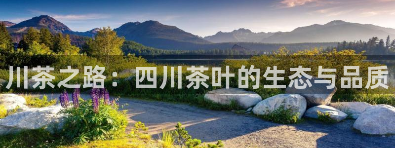 金年会娱乐和马竞