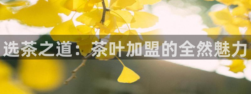 金年会入口网站