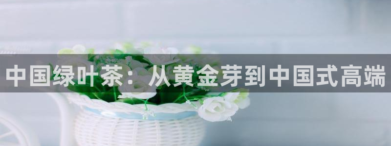 金年会网页版登陆