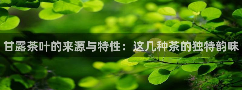 金年会软件在线下载